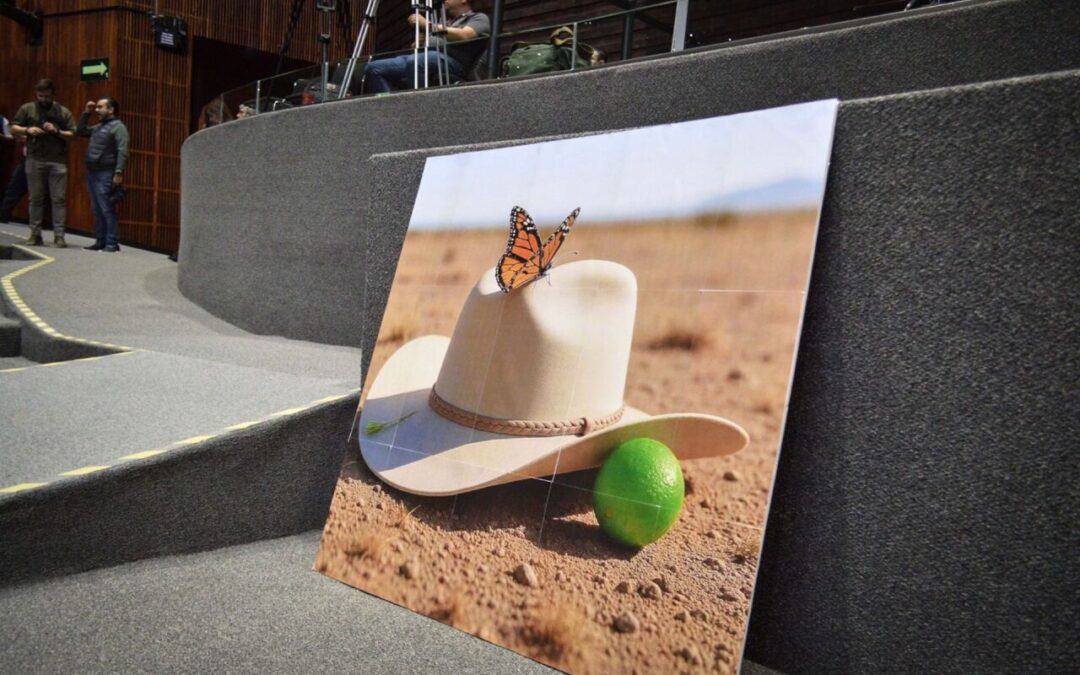 “Condenamos violencia política”, dice Casa Blanca por homicidio de Carlos Manzo