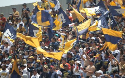 Legisladora propone «Ley Antibarras» rumbo al Mundial 2026