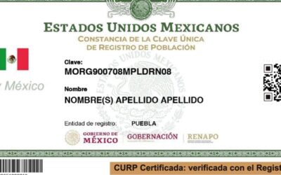 El dato que debe tener tu CURP para que puedas recoger tu tarjeta de la beca Benito Juárez