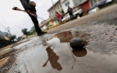 Michoacán, territorio de tres cárteles terroristas en la mira de Estados Unidos