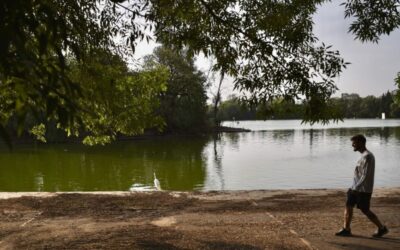 Cascajo y desechos se convierten en tecnosuelos para el Bosque de Chapultepec y camellones de CDMX