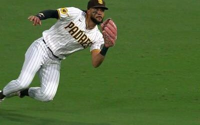 El Guante de Platino de Tatis Jr. o cómo redondear un año