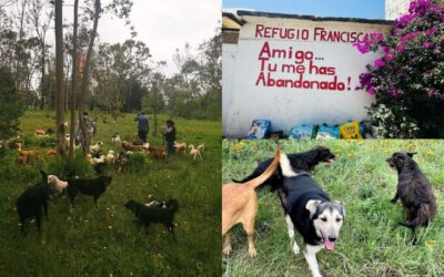 Desalojo fue de personas y no de animales, dice Fundación Haghenbeck tras denuncia