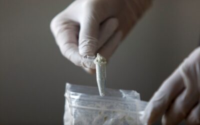 México endurece la vigilancia y control de 25 sustancias análogas del fentanilo