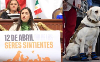 CDMX celebrará el ‘Día de los seres sintientes’ en honor a Frida