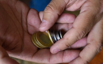 Senado avala nuevos diseños para las monedas de 10 y 20 pesos