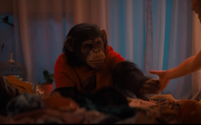 ¿De qué trata ‘Primate’, nueva película de terror que llega a cines?