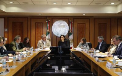 SomosMX alista plan contra reforma electoral impulsada por Morena