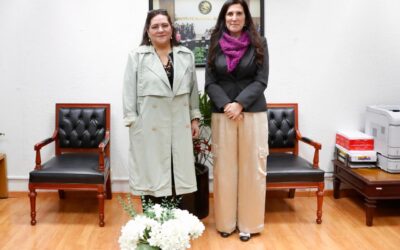 »Reforma Electoral no debe salir del agandalle, ni basarse en austeridad», dice Kenia López