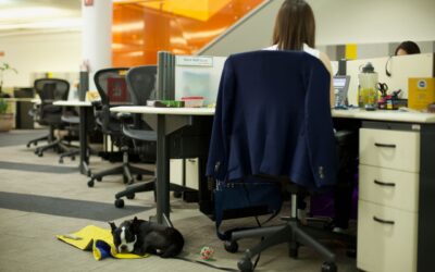 Una nueva cultura laboral para mujeres que cumpla con la reforma constitucional de Sheinbaum