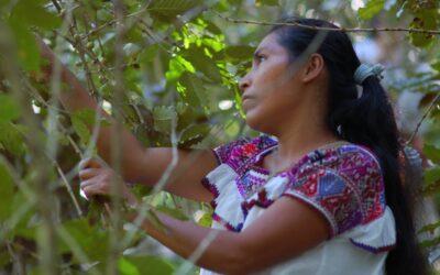 México, nación pluricultural y multiétnica sustentada en sus pueblos indígenas