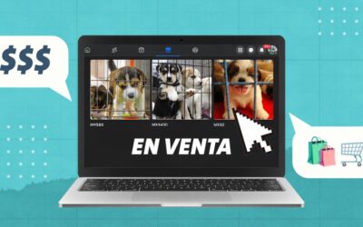 La CDMX frena venta de mascotas en lugares públicos… pero sigue de manera clandestina en redes sociales