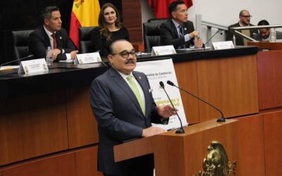 Senadores del PVEM reiteran que no apoyarán una reforma electoral que reduzca los plurinominales