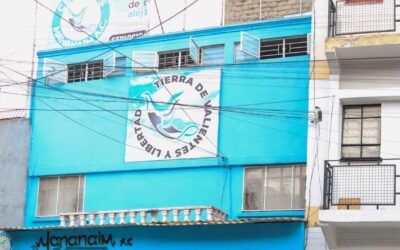 Anexos y grupos de ayuda, la principal opción de mexicanos para atender adicciones pese a los riesgos