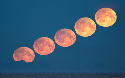 Efemérides celestes del 26 de enero al 01 de febrero de 2026