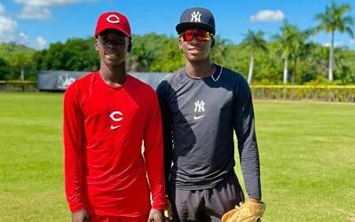 Una industria millonaria que opera sin reglas y de palabras