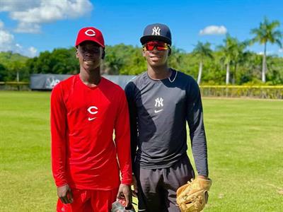 Una industria millonaria que opera sin reglas y de palabras