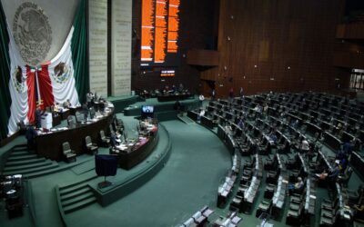 #Opidemia | Mononominales