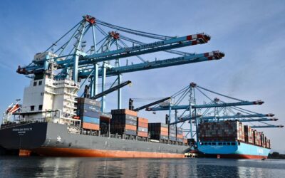 Florece la inversión público-privada