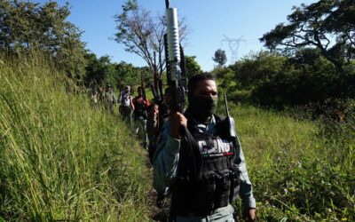 “El 03” y “El Jardinero”, ¿quiénes suenan para suceder a “El Mencho”?