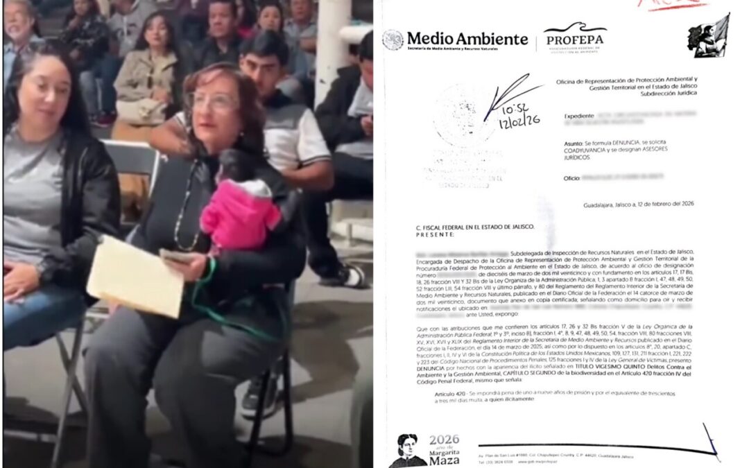 Profepa presenta denuncia por regidora que llevó a mono araña a evento en Jalisco
