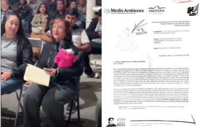 Profepa presenta denuncia por regidora que llevó a mono araña a evento en Jalisco