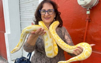 Renuncia regidora de Jalisco tras video en el que golpea a un mono araña