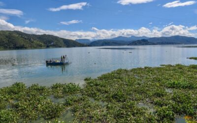 Sistema Cutzamala ante la temporada de calor: así están sus niveles de almacenamiento