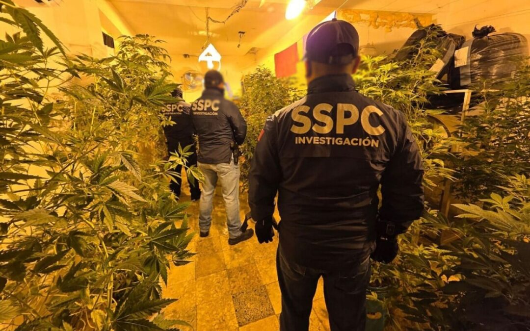 Desorden en incautaciones y fallas en combate a la corrupción, anomalías en la operación de la FGR