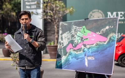 Greenpeace pide a Semarnat frenar de forma definitiva el megaproyecto “Perfect Day” en Mahahual
