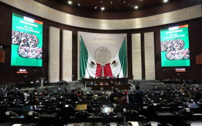 ¿Qué son los diputados plurinominales en México y cómo se eligen?