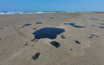 Autoridades recolectan 128 toneladas de residuos de crudo en costas de Veracruz y Tabasco