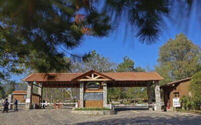 Policía de Caminos de Jalisco aparece en nómina de ‘Mencho’; Seguridad Estatal: »Debe investigar FGR»