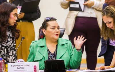 INE operará incompleto por tres semanas, mientras se completa proceso de relevo de consejeros