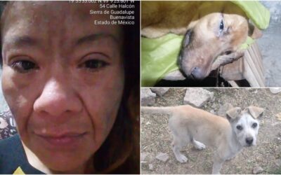 Anaid, la rescatista de perros de Edomex que fue hallada sin vida tras denunciar amenazas