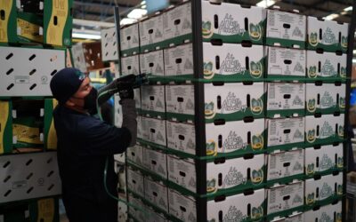 Extorsión alcanza a productores y transportistas de sector agropecuario