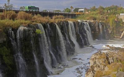 Desigualdad y mercado son clave para entender la crisis ambiental en México, advierte investigadora