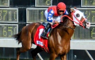 Caballo Grace From Above reaparecerá en el V Centenario