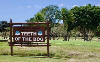 Preservar la integridad del campo, cambio en Diente de Perro