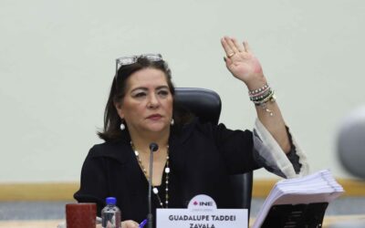 Perfiles cercanos a Morena y Guadalupe Taddei avanzan para las consejerías del INE