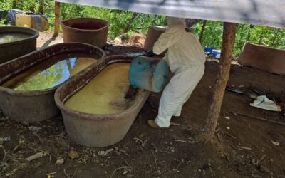 UIF denuncia ante la FGR a señalados por EU de distribución de precursores y drogas sintéticas