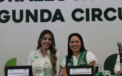 PVEM va solo por la gubernatura de San Luis Potosí; rompe alianza con Morena