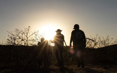 Gobierno pactará con personas en reclusión para buscar a los más de 132,000 desaparecidos en México