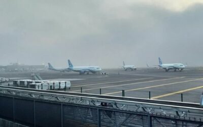 Marina decomisa 1.8 millones de cigarros irregulares en el Aeropuerto de la Ciudad de México