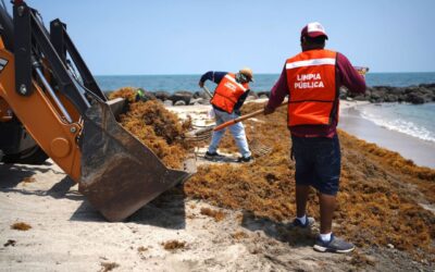 El 2026 se perfila para superar las 91,000 toneladas de sargazo que llegaron al Caribe Mexicano en 2025
