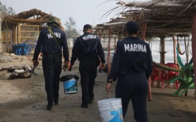 Observatorio Permanente, la nueva plataforma de monitoreo tras el derrame en el Golfo