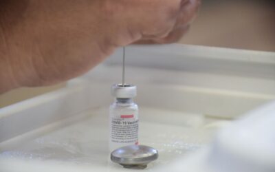 Pfizer va por mayor inversión en investigación clínica: “México es prioritario”