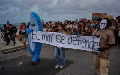 El saldo de 10 años de lucha ambiental: 199 defensores fueron asesinados en México