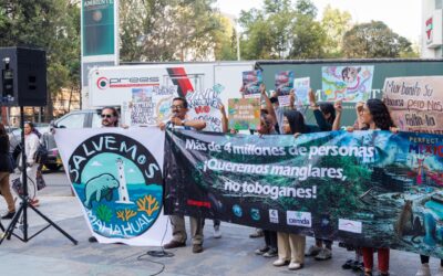 Tras protesta, Semarnat reitera que “Perfect Day” no será aprobado y afirma que Royal Caribbean desistió