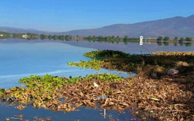 Semarnat reconoce 1,114 sitios contaminados y alista plan de remediación 2026-2030